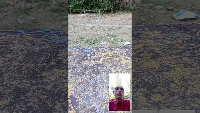 Дермократия и грязные деньги. смотреть онлайн