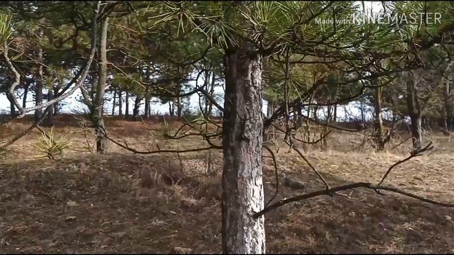 Подготовка к 8 му марта 2019, off road смотреть онлайн