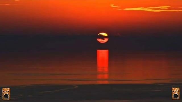 Blonker - Sidewalk Cafe