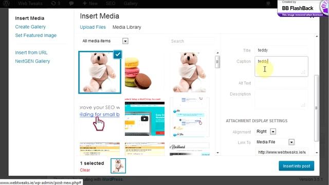 WordPress Beginner - How to Insert an Image into Post or Page смотреть онлайн