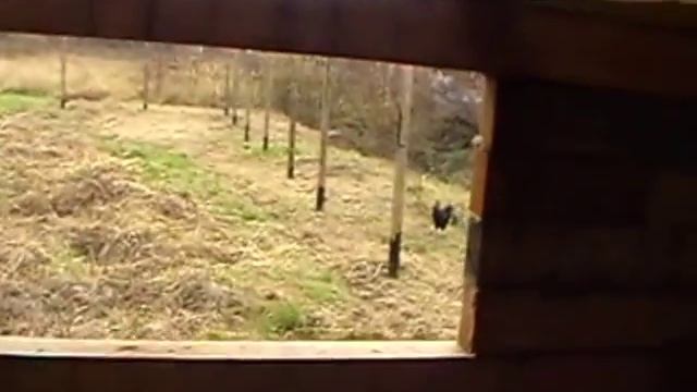 Домик в деревне своими руками смотреть онлайн