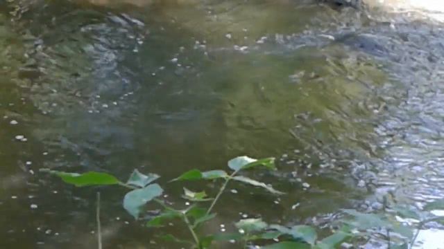 маленький водопадик на маленькой речке.a small waterfall on a small river. смотреть онлайн