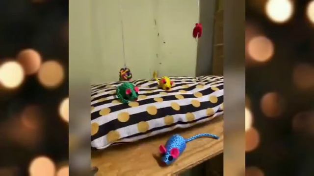 Огромную благодарность выражаем за неоценимую помощь Гимназия №1 смотреть онлайн