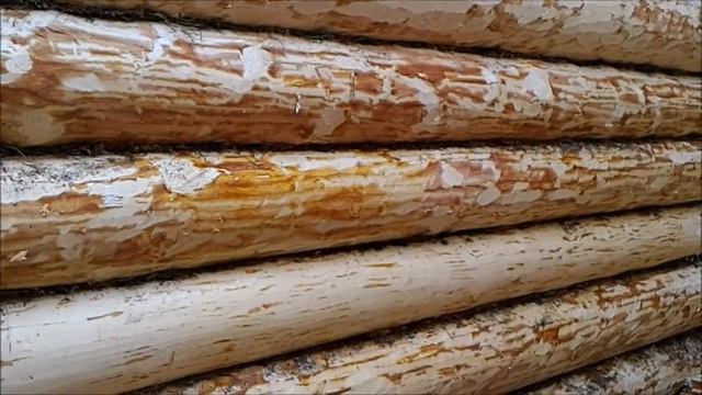 Собираем сруб зимой. Зимние пропитки и зимние антисептики для обработки сруба из бревна и бруса. смотреть онлайн