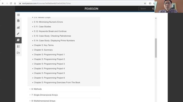 Pearson Liang Revel Programming Projects Help Overview смотреть онлайн