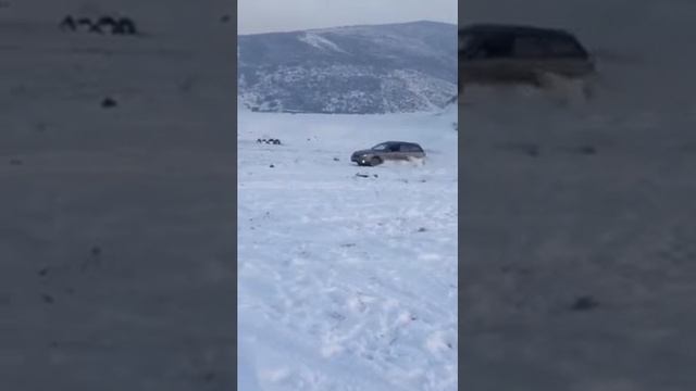 2016 год лысая гора смотреть онлайн