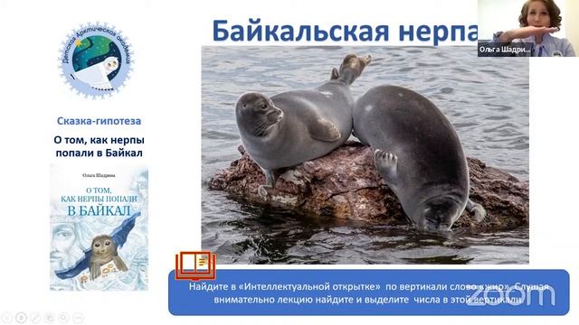 Байкальская кругосветка с Днем Ч. Ольга Шадрина, "О том, как нерпы попали в Байкал" смотреть онлайн
