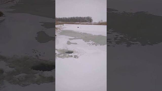 рыбалка на жерлицы 2018 смотреть онлайн