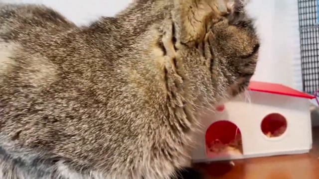 ДОЛГО МОЖНО СМОТРЕТЬ, НО ТОГДА СТАНЕТ ПОНЯТНО смотреть онлайн