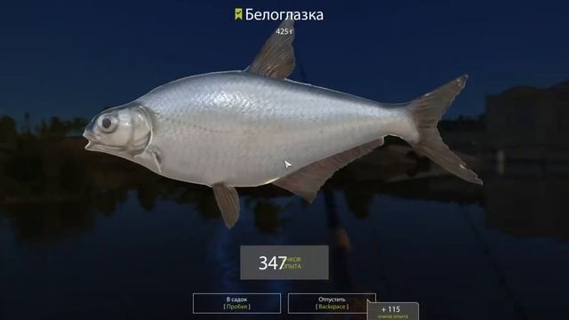 Волхов - ловим мелочугу | Русская рыбалка 4 | РР4 | Дни Рыбака |#3 смотреть онлайн
