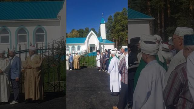 Открити мечет межевой муфти Росия Тоджидин смотреть онлайн