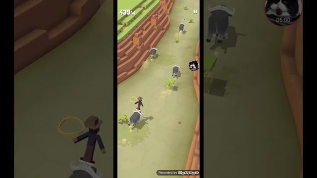 забег с животными!! смотреть онлайн