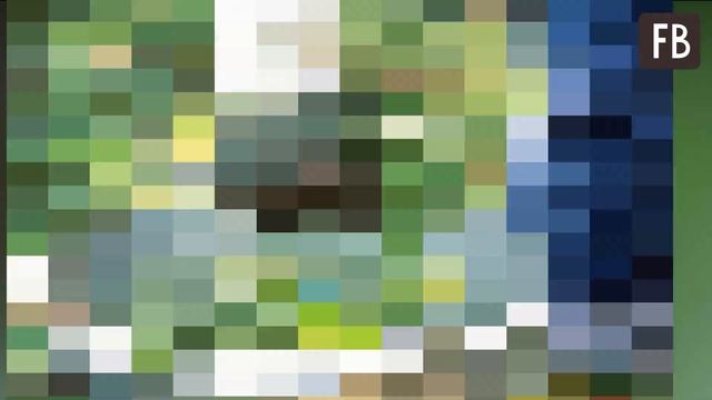 С помощью крапивы я увеличиваю урожай огурцов в 5 раз: делюсь рецептом удобрения смотреть онлайн