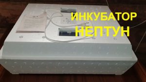 ИНКУБАТОР НЕПТУН ОБЗОР И ПЕРВЫЙ ЗАПУСК/ЗАВЕЛА ПЕРЕПЕЛОВ СЕРАЯ ФЕЯ