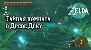 Тайная комната в Древе Деку. The Legend of Zelda Tears of the Kingdom. The Secret Room