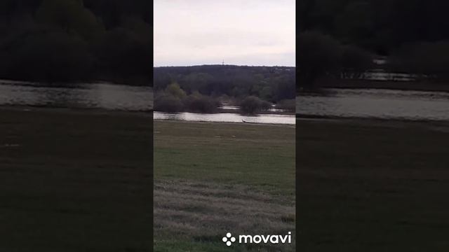 Разлив скоро закончится! Ступинский мост, река Воронеж! смотреть онлайн
