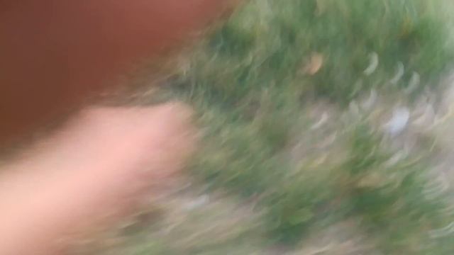 я снимаю видео но только ставлю на паузу 2 раза смотреть онлайн