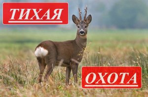 ОХОТА С ПОДХОДА НА КОСУЛЮ ОСЕНЬЮ.mp4