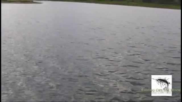 Luck "E" Strike Trout Worms Work! - Fishing Off the Hook смотреть онлайн