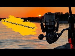 Есть ли рыба после шторма?