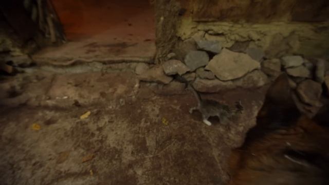 Rainy Day at the cottage in the Forest - Food in a clay pot - Miniature Making смотреть онлайн