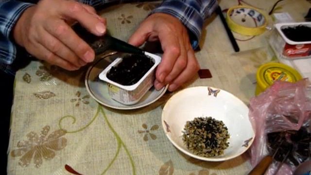 СЕМЕНА ЛУКА ЧЕРНУШКУ сеем и на подоконник смотреть онлайн