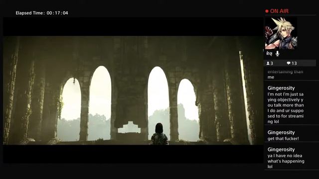 Wayfarer And The Shadow Of The Colossus (Pt. 2)