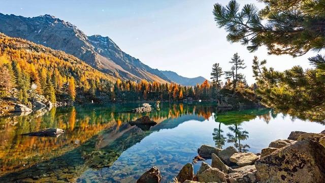 Музыка расслабляет нервную систему, улучшает память # Сергей Грищук музыка смотреть онлайн