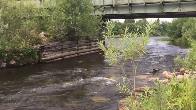 Урал. Река Каква и ее притоки. смотреть онлайн