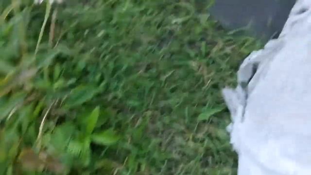 ДАЧА#ЭТО МАХРОВАЯ #МАЛЬВА? смотреть онлайн