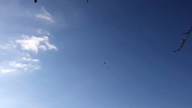 РАЗГОВОРЫ О БЕЛОЙ МАСТИ И НЕ ТОЛЬКО смотреть онлайн