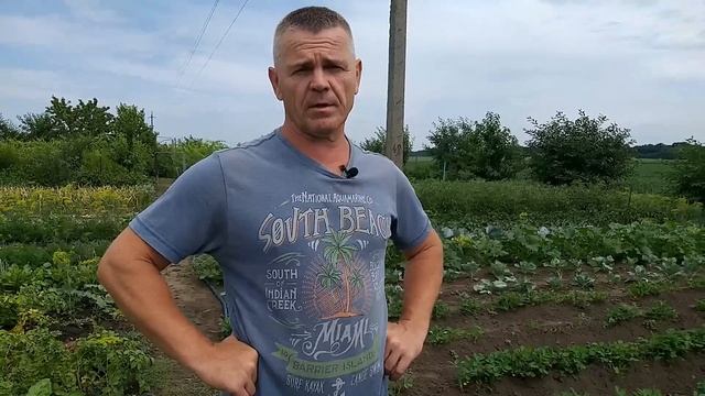 Пару слов об арахисе,актуально. смотреть онлайн