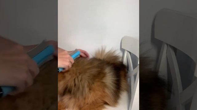 Расчёска-дешеддер DELE смотреть онлайн