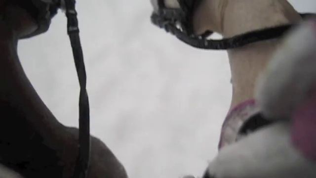 Алые розы на белом снегу смотреть онлайн