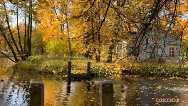 ?АЛЕКСАНДРОВСКИЙ ПАРК в городе Пушкин или ОСЕНЬ в Царском Селе ? смотреть онлайн