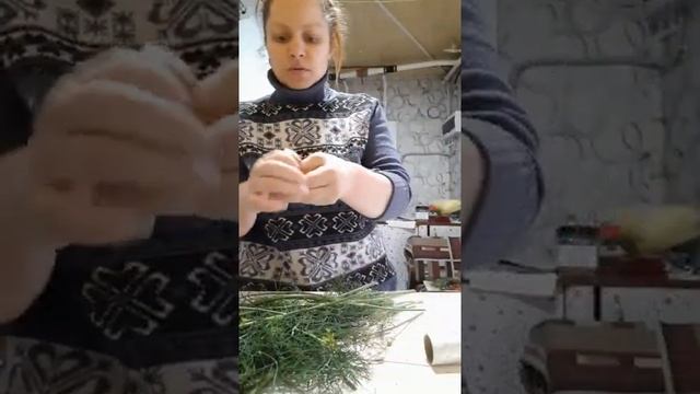 Ролик № 401. Зонтики укропа на зиму. смотреть онлайн