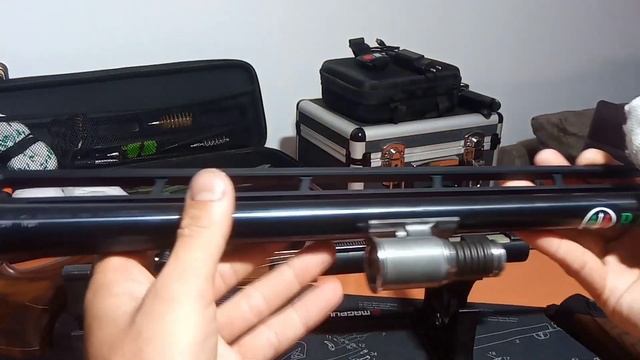 Beretta A400 Excel Multitarget