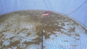 Как полностью слить воду с каркасного бассейна INTEX Часть 2 . Слив воды и чистка бассейна