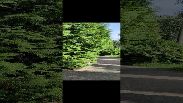 церковь свято- Преображенская в шатуре смотреть онлайн