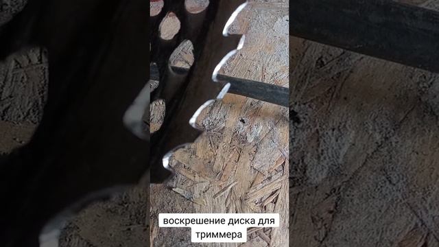 Восстановление диска от триммера смотреть онлайн