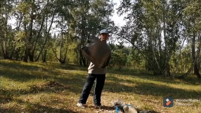 Убрал мусор на поляне смотреть онлайн