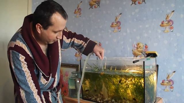 чистим аквариум смотреть онлайн