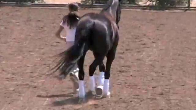 Leia's Mare Performance Test смотреть онлайн
