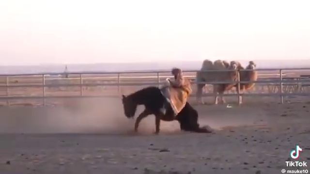 22 января 2024 г. смотреть онлайн