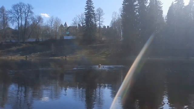 23 апреля тепло, но вода ещё холодная продолжаем закаливаться! смотреть онлайн