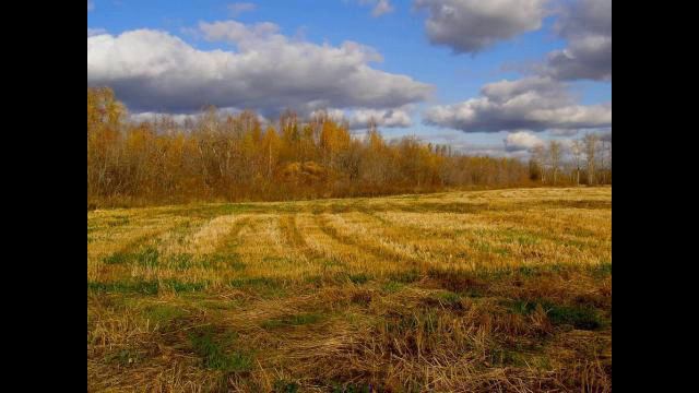 1 Га Ванюки Промназначения смотреть онлайн