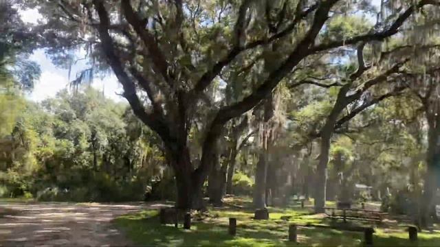 ? переспать в ДЖУНГЛЯХ ? Америка для ПУТЕШЕСТВИЙ Hopkins Prairie Campground Florida USA 11.09.2020 смотреть онлайн
