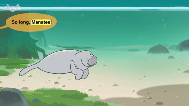 Sea Mammals | walrus, sea otter, manatee, bottlenose dolphin, sea lion, humpback wale | Sea Animals смотреть онлайн