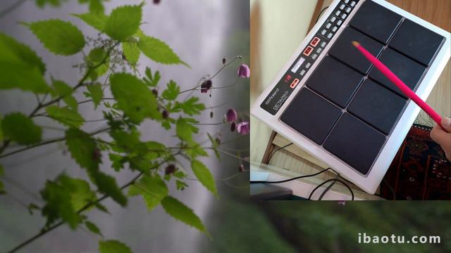 гр Созвездие Ширин 2024 год смотреть онлайн